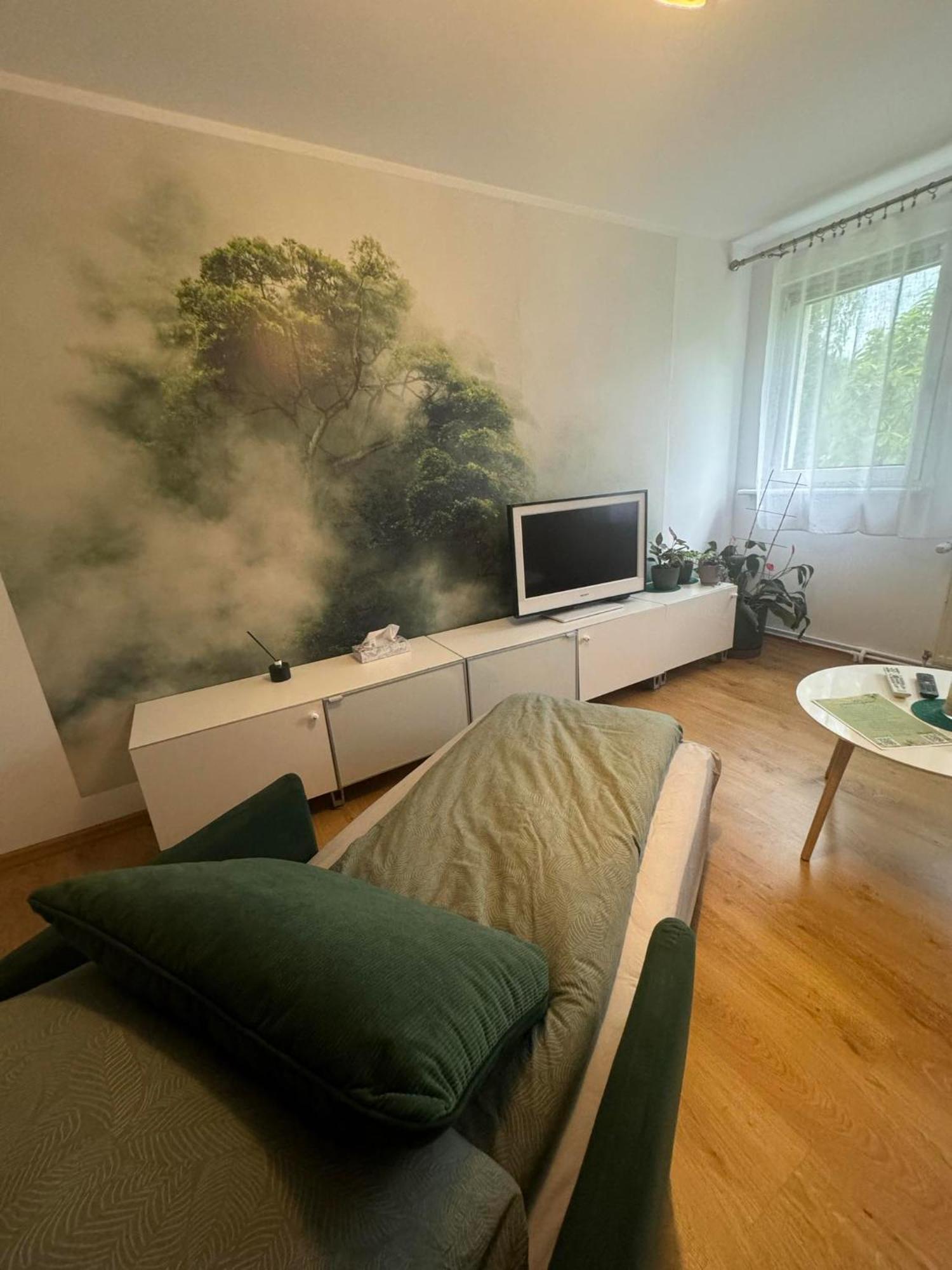 Zielony Zakatek Piechowice  Room photo